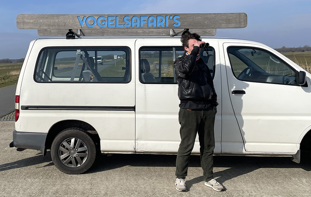 Het gehoemp van de roerdomp